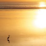 25 من أجمل أدعية الصباح اليومية وفضائلها