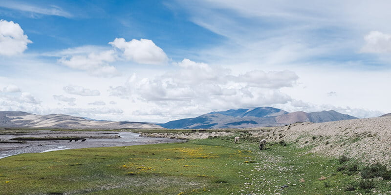 10 أحاديث جميلة للرسول وأهميتها