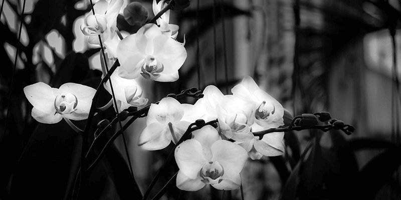 أجمل أدعية للمتوفي .. 20 دعاء مأثور من السنة النبوية المطهرة