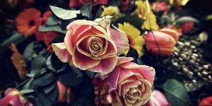 7 من مختارات الكلام عن الورد