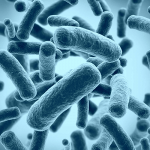 5 من أهم الأمراض التي تسببها البكتيريا