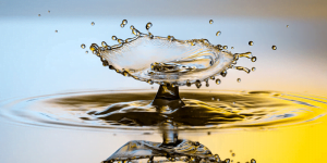 5 معلومات حول مفهوم الجودة