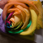 أشعار حزينة .. تعرف على أجمل 3 خواطر شعرية عن الحزن والفراق