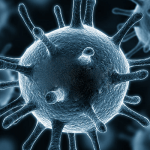 4 من أهم المعلومات عن البكتيريا