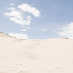 7 حلول في القضاء على البطالة