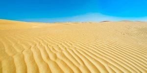 العشق الذي لا ينتهي .. تعرف على أفضل 30 عبارة عن حب الوطن