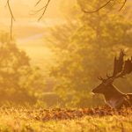 صبح يتنفس.. أجمل كلمات صباحية رقيقة .. 47 عبارة رائعة نقدمها لكم