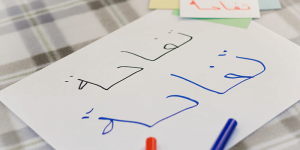 6 نقاط في أهمية اللغة العربية