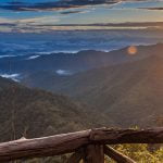 34 من أجمل مسجات الصباح