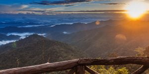 34 من أجمل مسجات الصباح