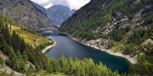 6 أسباب لإنشاء مشروع السد الأخضر