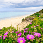 القيمة الأغلى في أي مجتمع .. تعرف على 20 عبارة وحكم عن النظافة