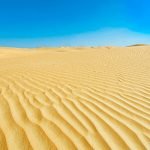 75 من أجمل الحكم والأمثال الشعبية عن الحياة