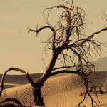 3 مختارات من أجمل قصائد الشعر الحزين