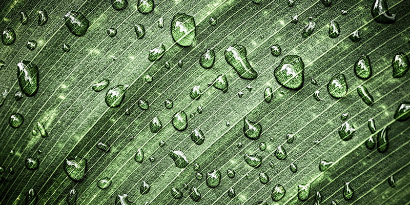 5 تفسيرات هامة عن المطر في المنام .. هل تعرفها؟