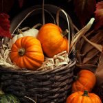 اليقطين .. 10 فوائد مدهشة للصحة .. هل تعرفها؟