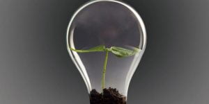 7 من أهم الفوائد لتدوير المواد