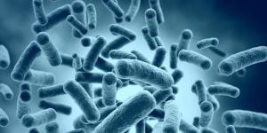 4 أمور مدهشة عن عالم الفيروسات .. تعرف عليها