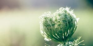 ما هي صور المفعول لأجله .. تعرف على 3 صور لهذه القاعدة النحوية في لغتنا العربية