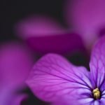 22 من أجمل خواطر وحكم عن الأمانة .. خلق من أعظم أخلاق الإسلام