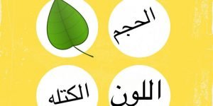 ماذا تعرف عن خواص المادة؟ 5 معلومات هامة حولها تعرف عليها