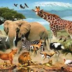 20 من أهم أسرار عالم الحيوان