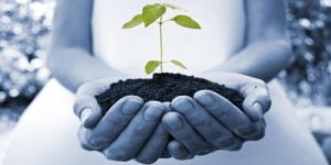 3 من أهم مفاهيم التنمية التي يجب عليك أن تعرفها