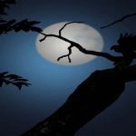 3 معلومات عن شعراء المعلقات السبع