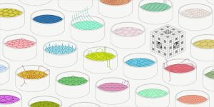 10 معلومات عن التغير في المادة وخواصها