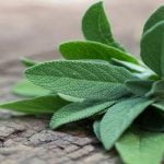 3 فوائد يمنحها الحلفا بر للكلى