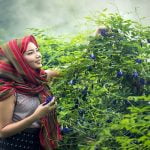 فوائد الميرمية .. 4 أشياء مذهلة لا تتخيلها .. تعرف عليها