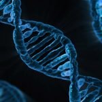 5 خطوات من أجل تضاعف الـ DNA