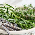 اكتشف 10 فوائد شرب الزعتر البرى