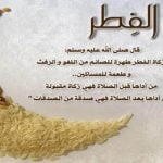 4 أشياء هامة عن زكاة الفطر .. تعرف عليها