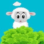 ما هو حكم أضحية العيد؟ 5 آراء فقهية للاضحية يجب على جميع المسلمين معرفتها