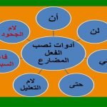 اعرف قواعد اللغة العربية في دقائق .. 9 من أهم حر... 