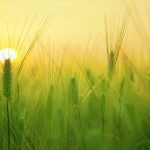 25 أجمل خواطر صباحية متنوعة تقال للاصدقاء