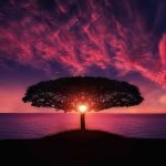 2 من أهم عناصر المناخ