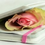 3 أنواع من أجمل أبيات الشعر الفصيح
