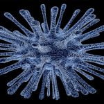 أهم 4 معلومات في بحث عن فيروس كورونا