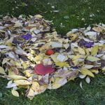 5 من أجمل الأشعار الرومانسية لعنترة بن شداد