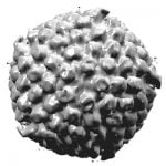 6 معلومات عن أعراض الحزام الناري