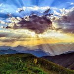 تعرف على مراحل التركيب الضوئي والعوامل المؤثرة عليه فى 5 سطور