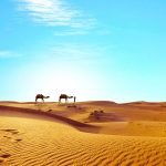 6 مميزات هامة للواحات البحرية في مصر