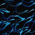 لمن يعانون الضعف الجنسي .. 5 معلومات عن  زنكتون واوكتاترون أهم مكملات غذاية للعلاج