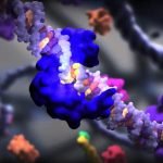 2 نوع من تحليل pcr