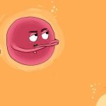 3 أهميات لمعرفة أيام التبويض
