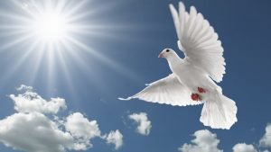 موضوع تعبير عن حب الوطن فى 4 عناصر فقط