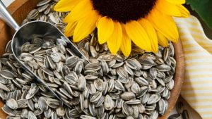 كيف ينقص اللب السوري وزنك؟ تعرف على 4 أمور تساعد على ذلك