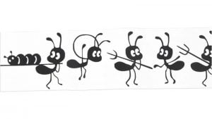 8 طرق مختلفة للتخلص من النمل